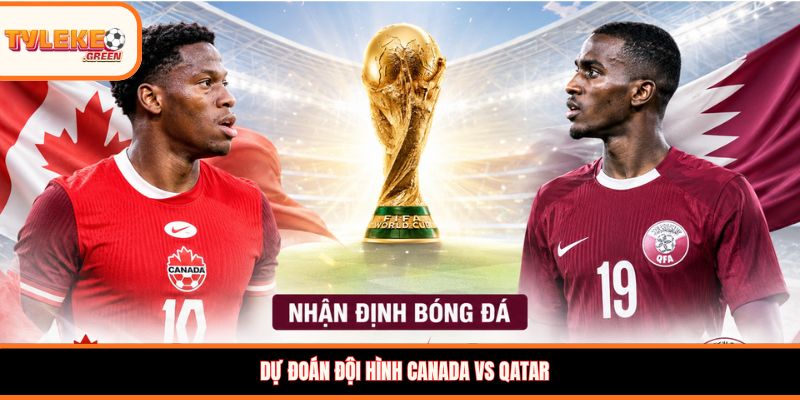 Dự đoán đội hình Canada vs Qatar