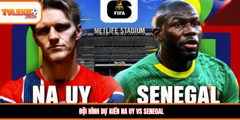 Đội hình dự kiến Na Uy vs Senegal