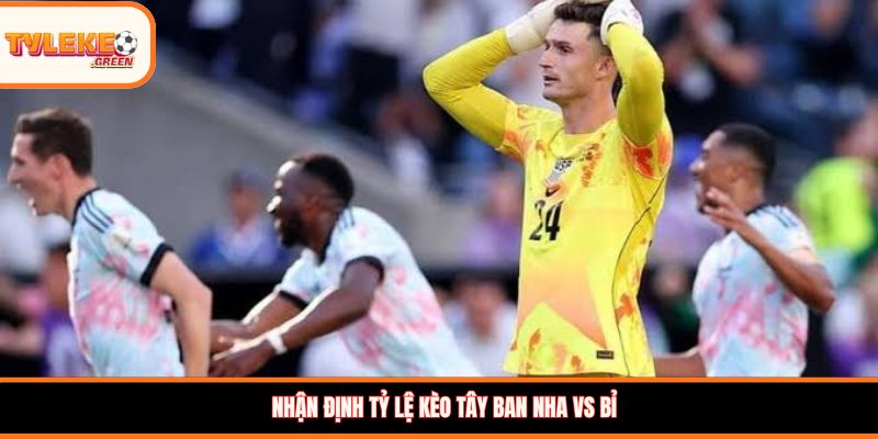 Nhận định tỷ lệ kèo Tây Ban Nha vs Bỉ